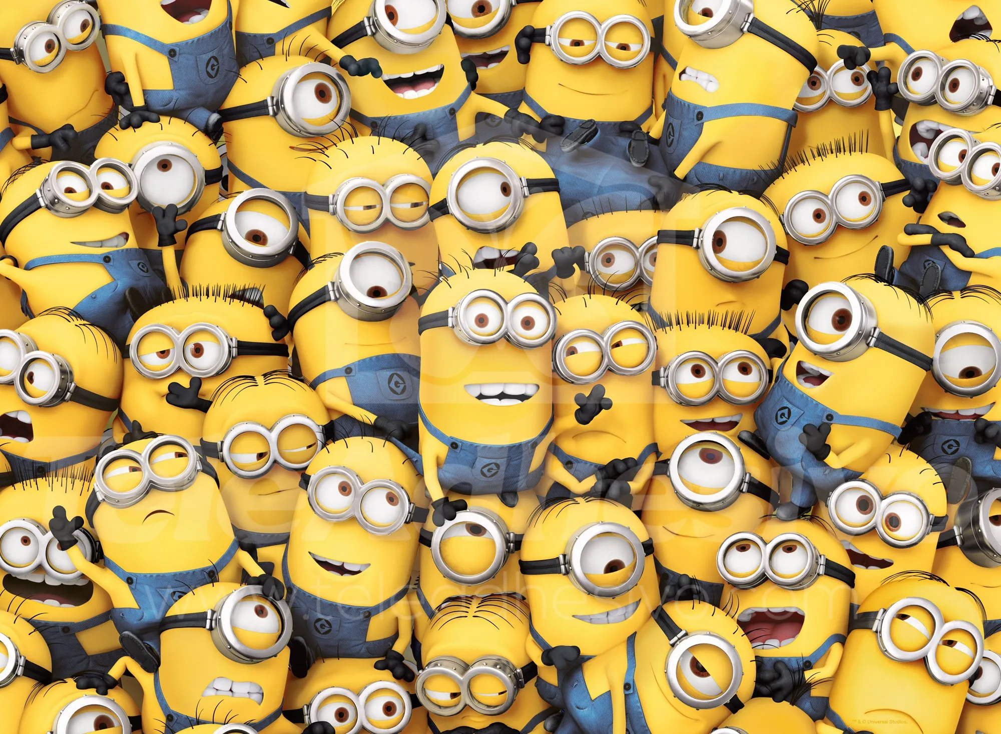 Minions - FOTOMURALI