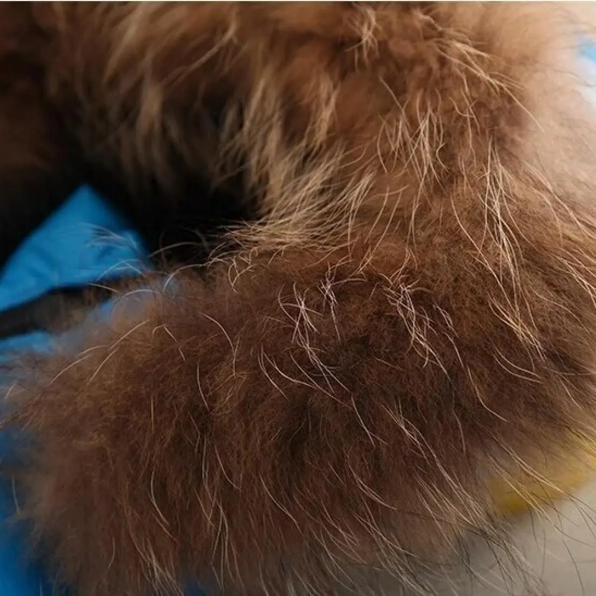 Piumino d'anatra bianco per bambina invernale da 30 gradi Abbigliamento da neve Cappotti impermeabili Tute Set di abbigliamento