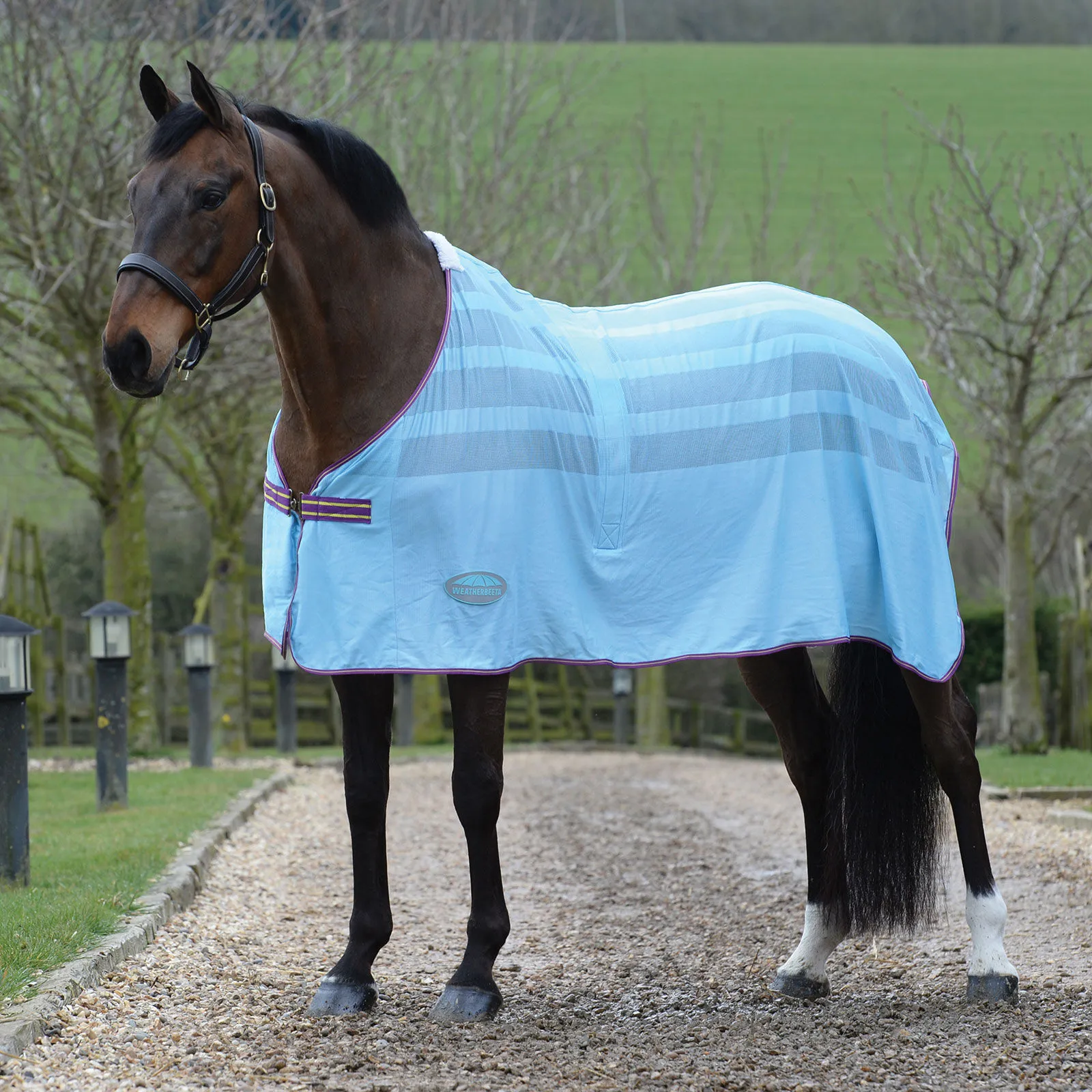 Weerbeeta Scrim Coperta raffreddante