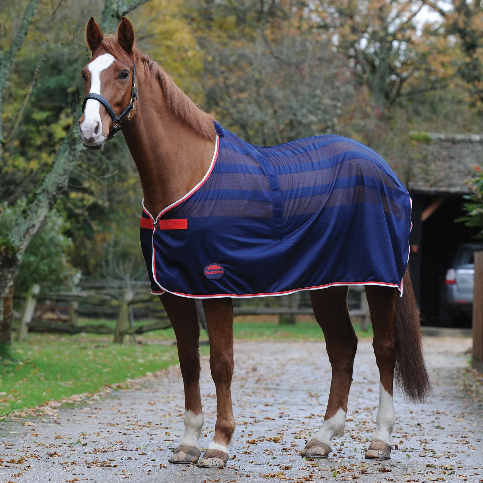 Weerbeeta Scrim Coperta raffreddante