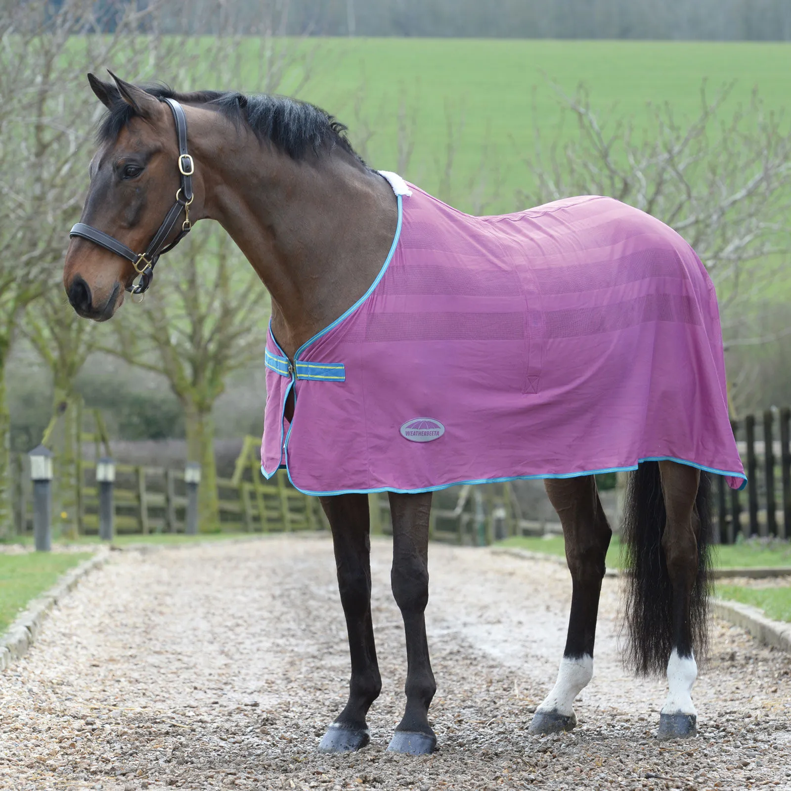 Weerbeeta Scrim Coperta raffreddante