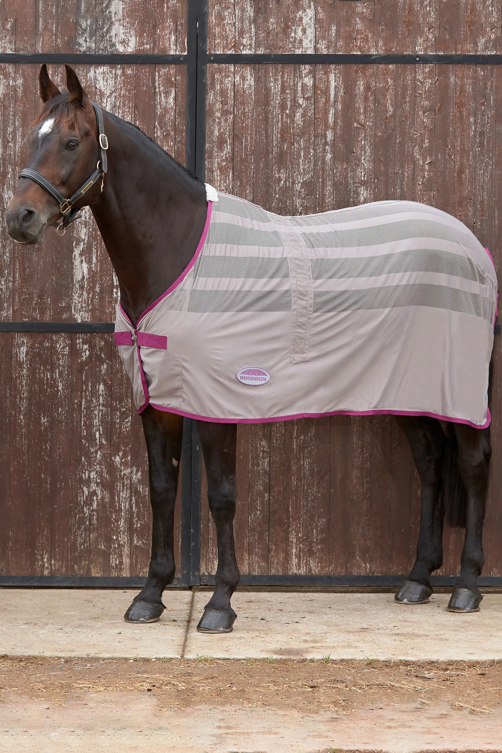 Weerbeeta Scrim Coperta raffreddante
